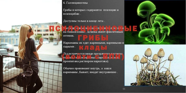 соль курить ск Абаза