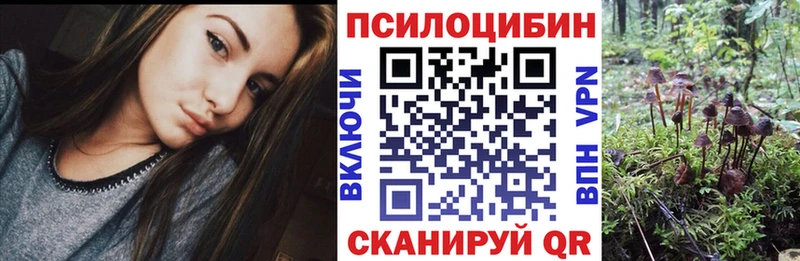 Галлюциногенные грибы ЛСД  Александровск-Сахалинский 